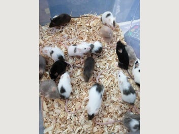 Image 1 of 3