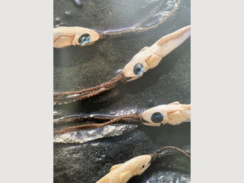 Image 1 of 16