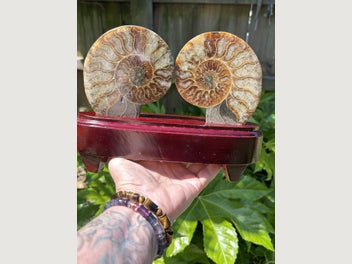 Image 1 of 4