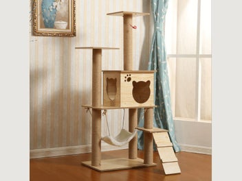 Image 1 of 9