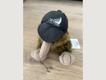 Image 1 of 7