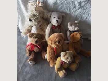 Image 1 of 15