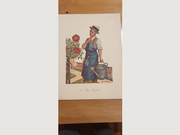 Image 1 of 12