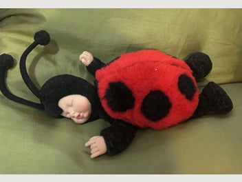 Image 1 of 4