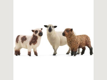 Image 1 of 6