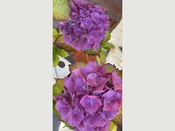 Image 1 of 19