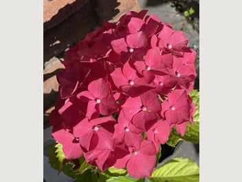 Image 1 of 18