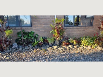 Image 1 of 20
