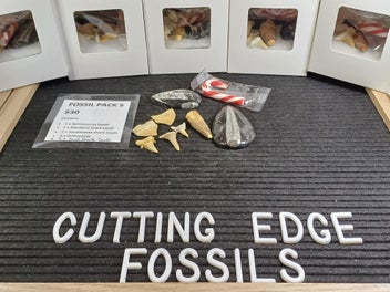 Image 1 of 6
