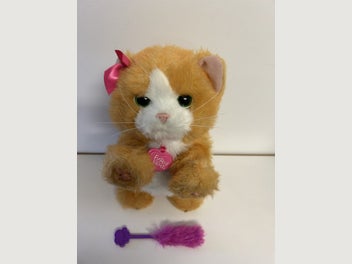 Image 1 of 8
