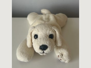 Image 1 of 7