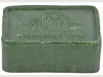 Image 1 of 14