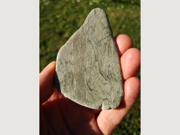 Image 1 of 8