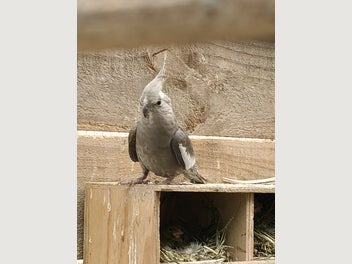 Image 1 of 4
