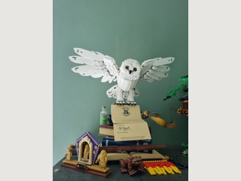 Image 1 of 5