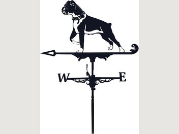 Image 1 of 7