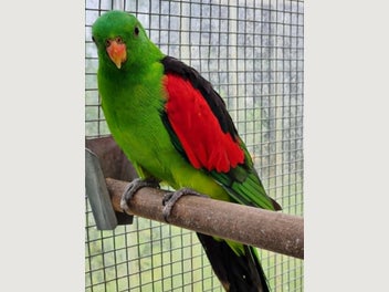Image 1 of 2