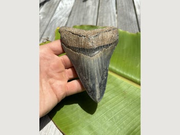 Image 1 of 8