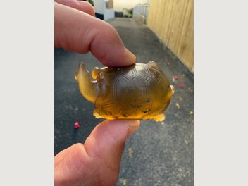 Image 1 of 18