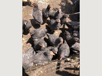 Image 1 of 8