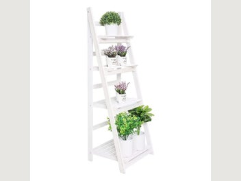 Image 1 of 12