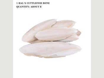 Image 1 of 11