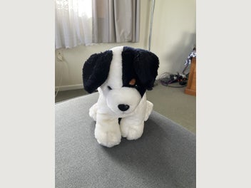 Image 1 of 1