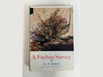 Image 1 of 1