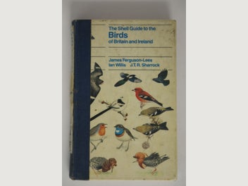 Image 1 of 1
