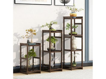 Image 1 of 11