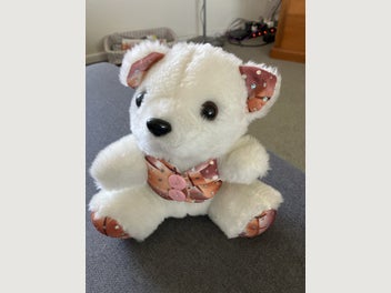 Image 1 of 1