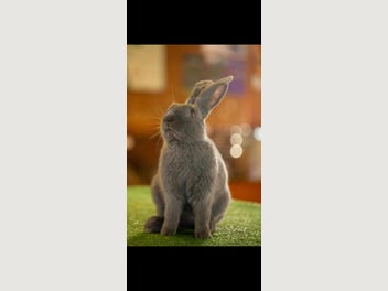Image 1 of 20