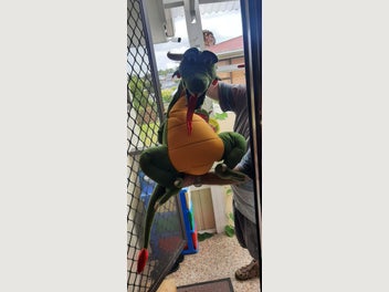 Image 1 of 1