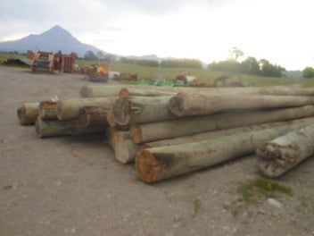 Image 1 of 10