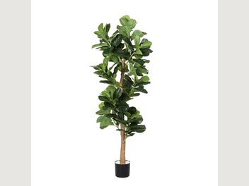 Image 1 of 9