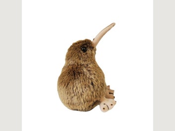 Image 1 of 5