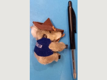 Image 1 of 6