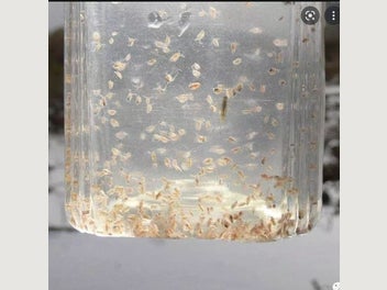 Image 1 of 10