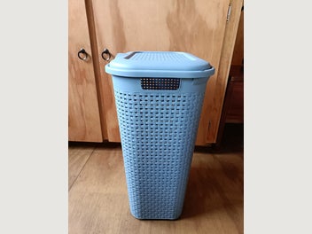 Image 1 of 7
