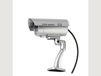 Image 1 of 11