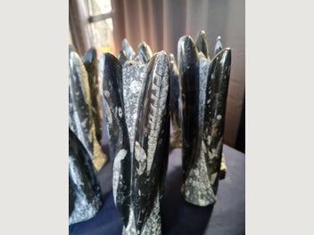 Image 1 of 11