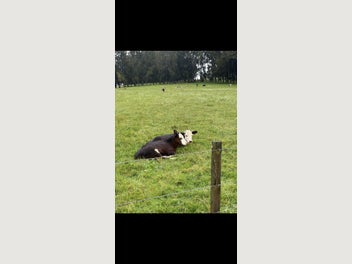 Image 1 of 13
