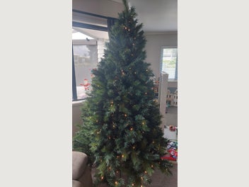 Image 1 of 6