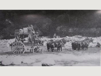 Image 1 of 8