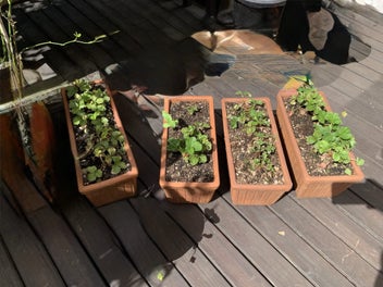 Image 1 of 16