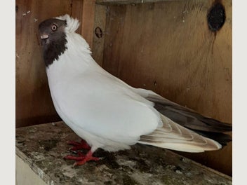 Image 1 of 6