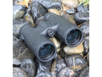 Image 1 of 10