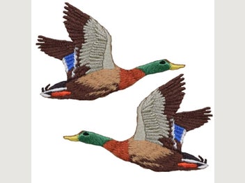 Image 1 of 3
