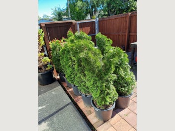 Image 1 of 6