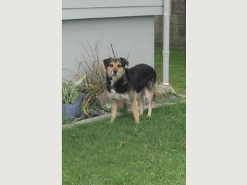 Image 1 of 3